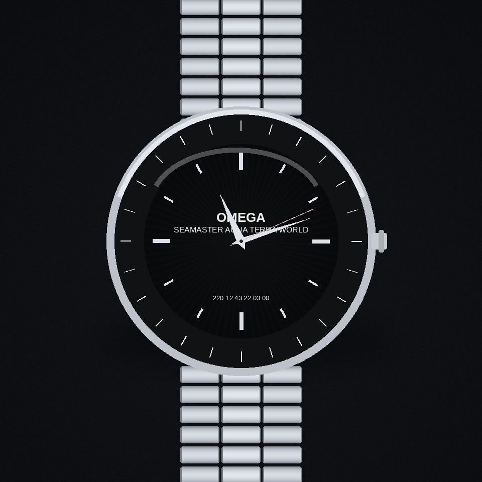 Seamaster Aqua Terra Worldtimer